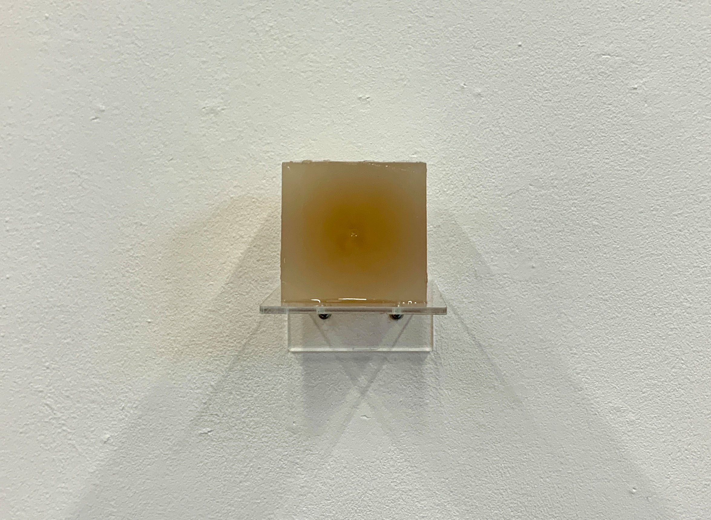 Plastination of Gloom