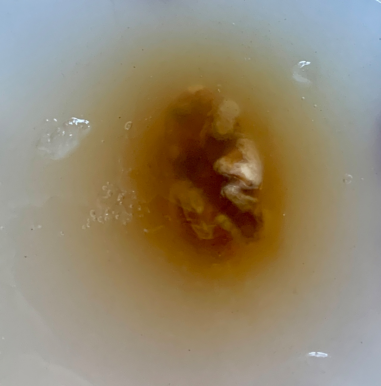 Plastination of Gloom