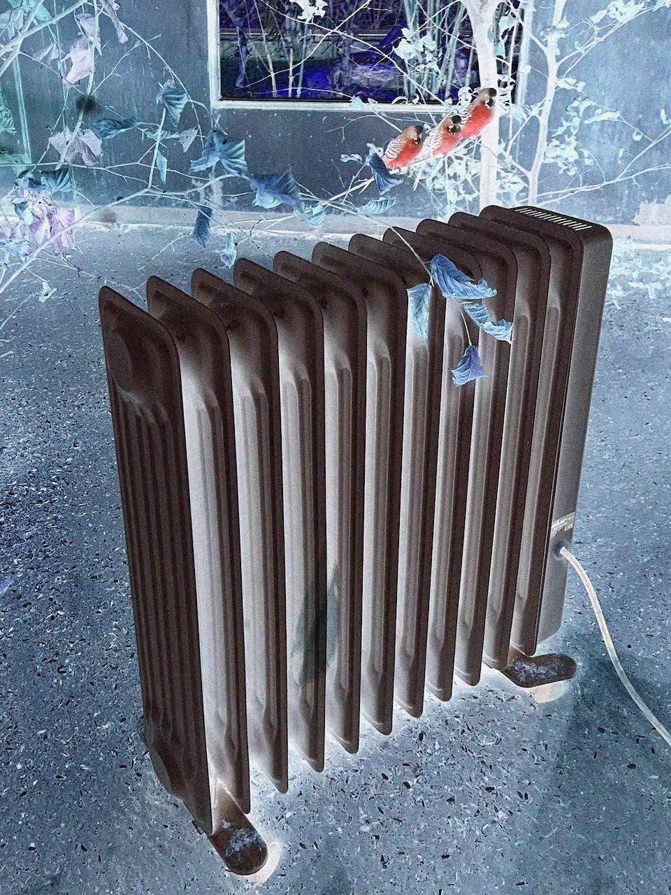 Untitled, 2026