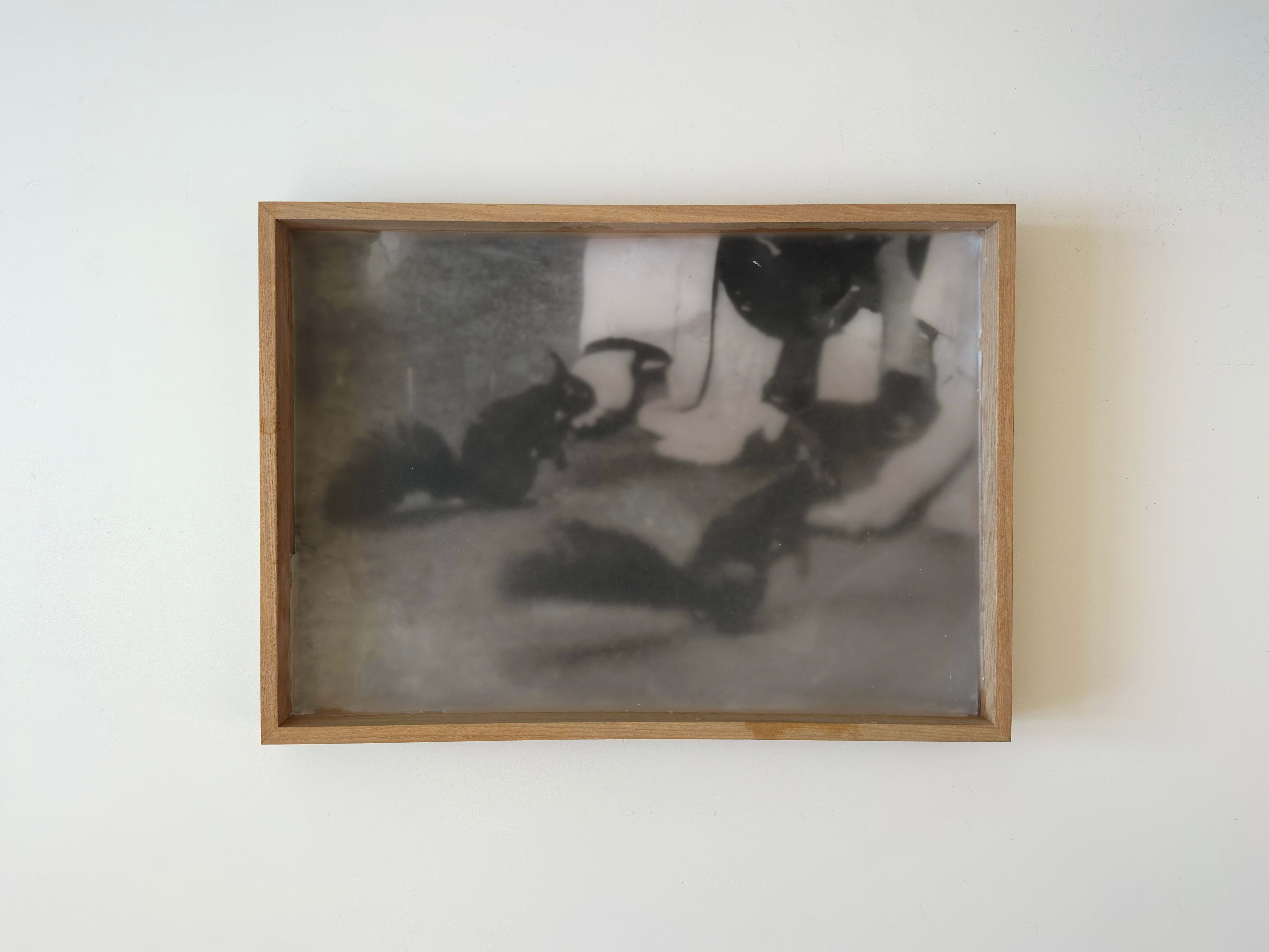 40x30 cm