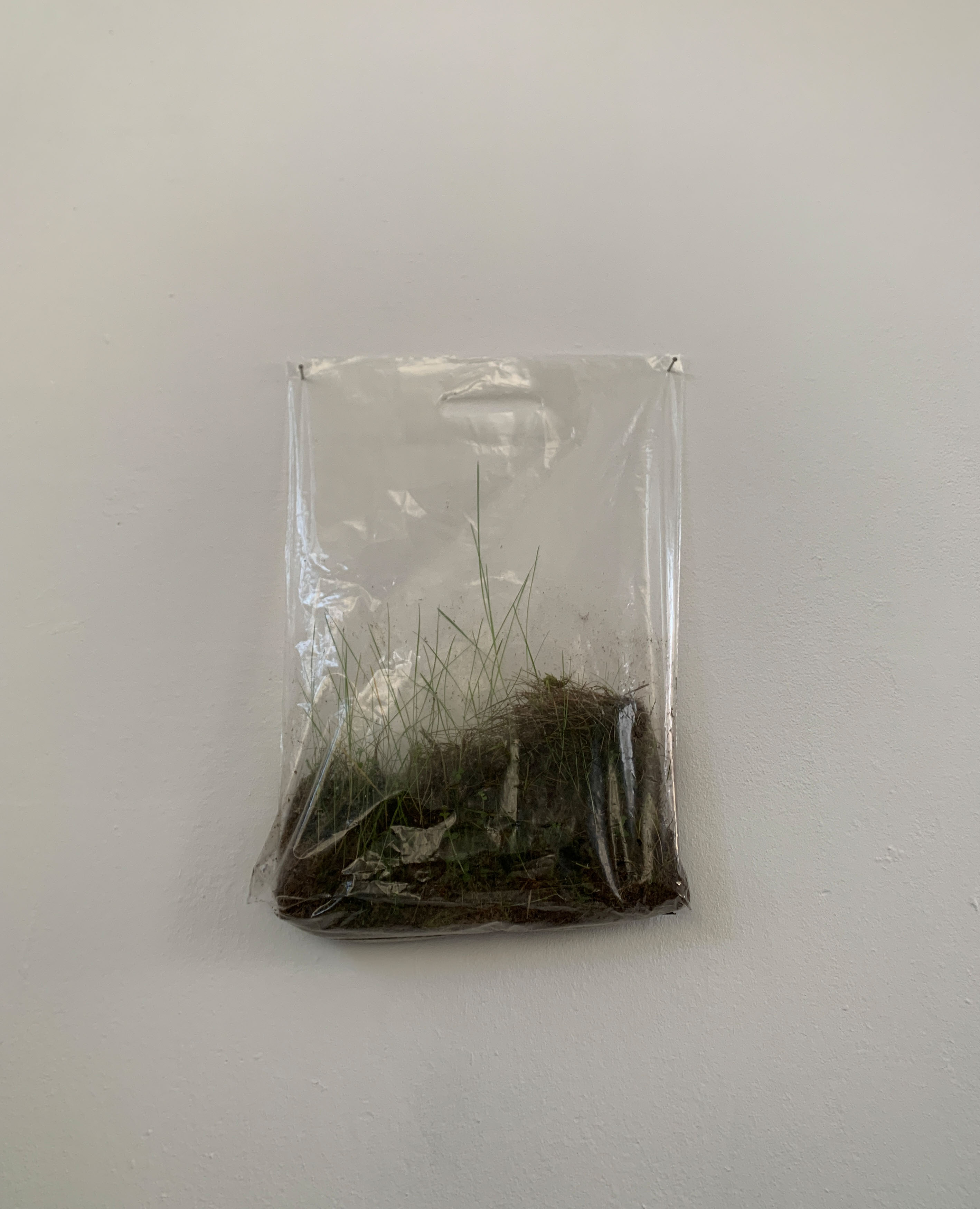 Preserved Home