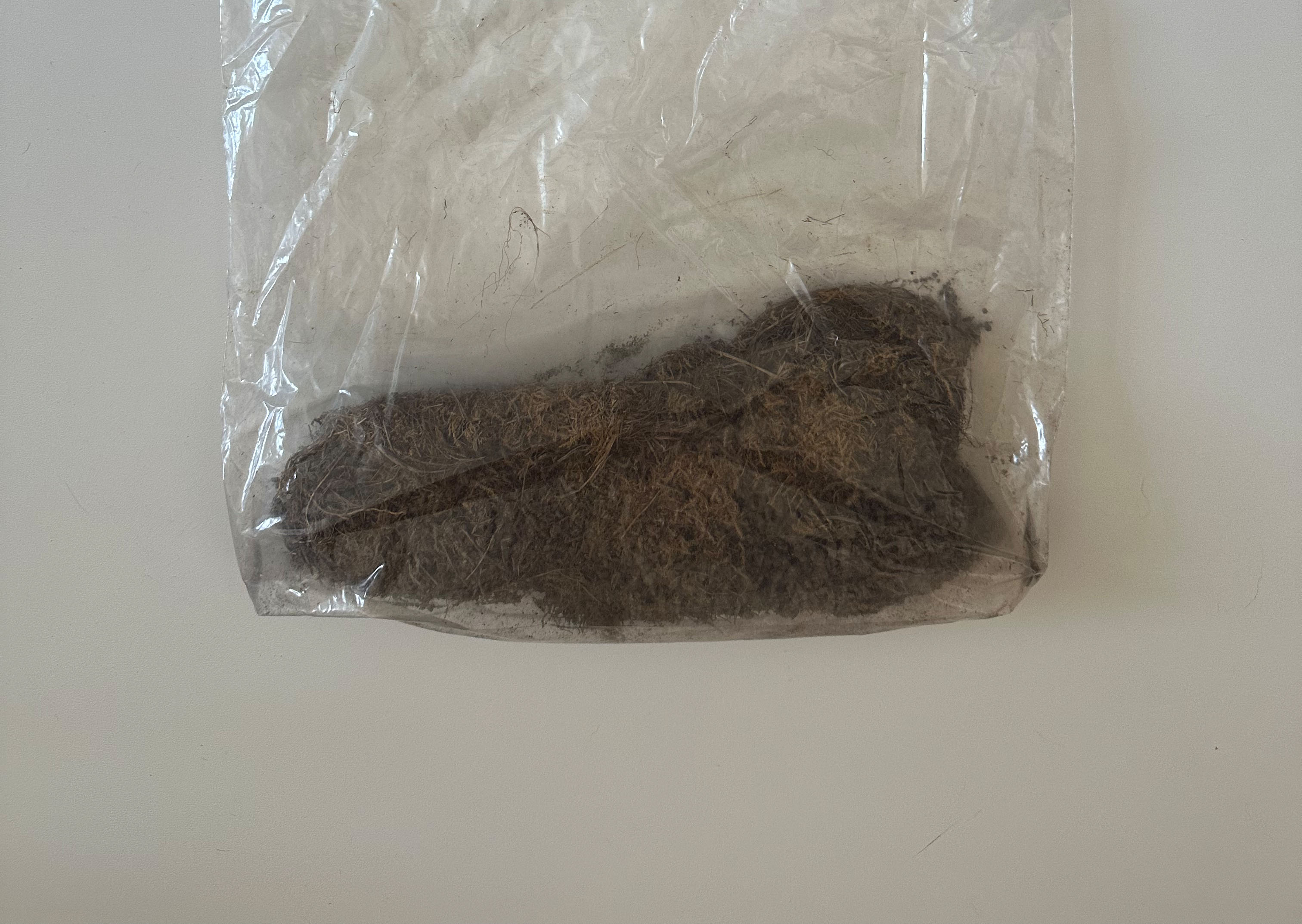 Preserved Home