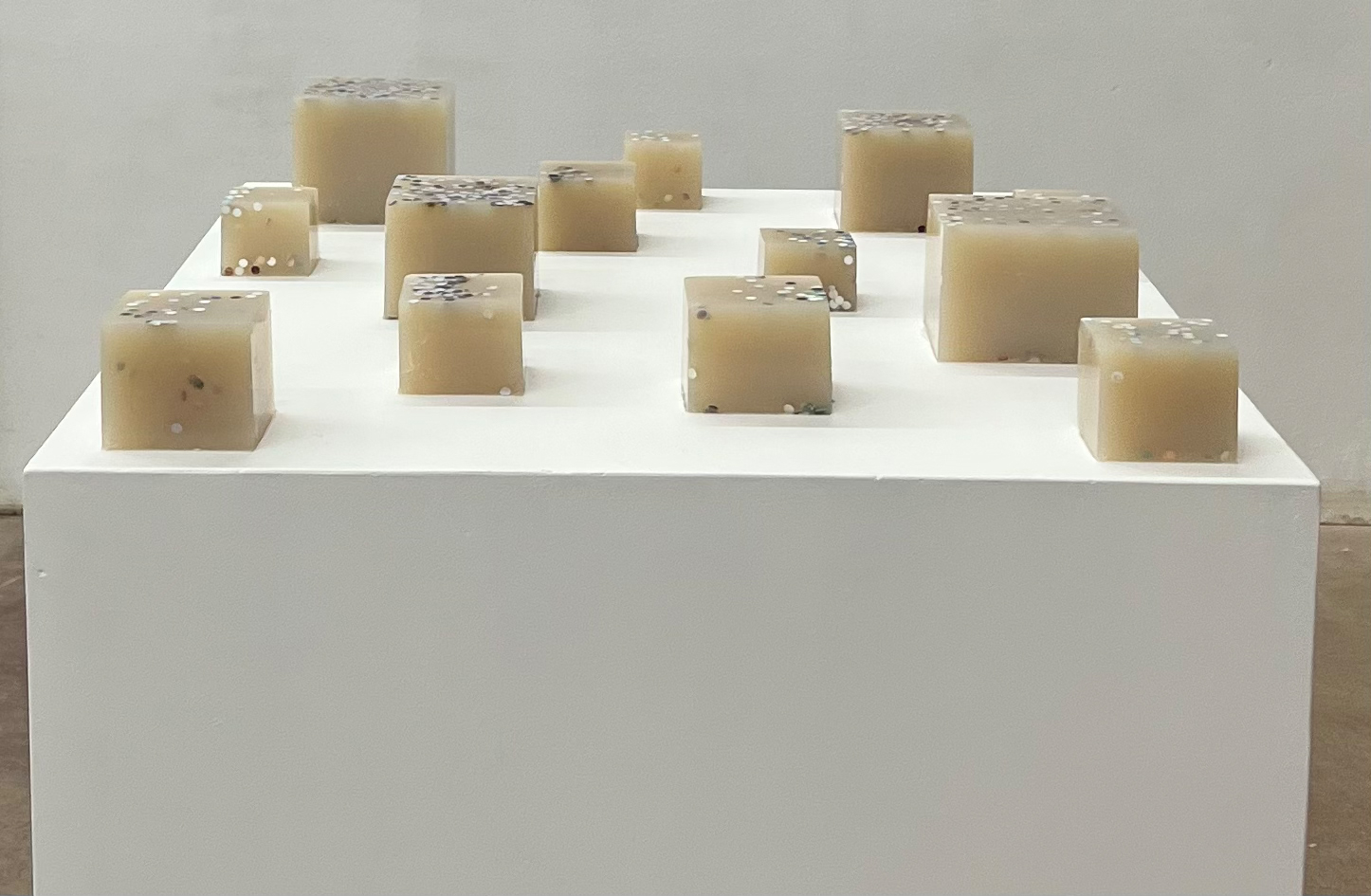 Agartine, gestanzte Fotografien